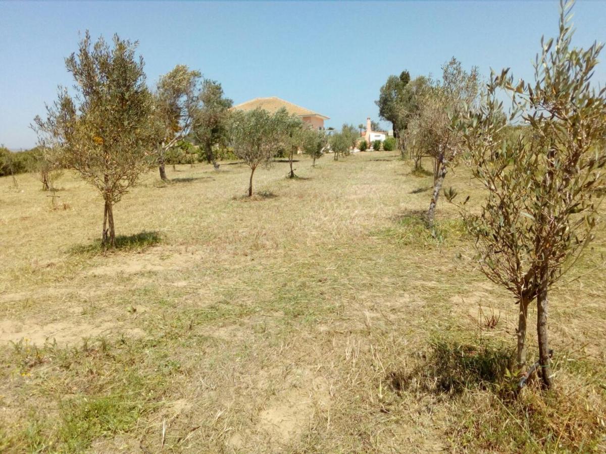 Villa Fior D'Oleandro Santa Maria Del Focallo Luaran gambar